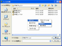 TPTOpenDlg running on Japanese Windows